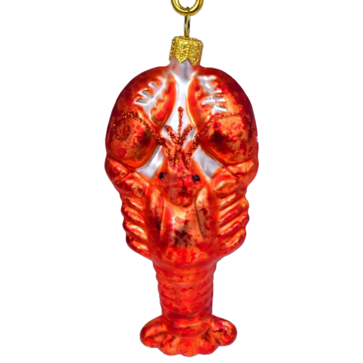 Glass Forms LOBSTER